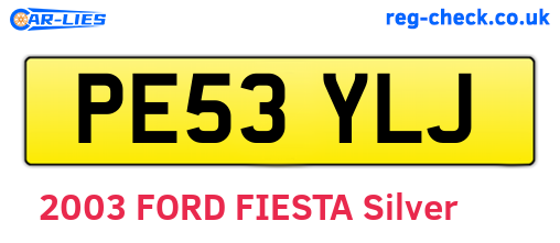 PE53YLJ are the vehicle registration plates.