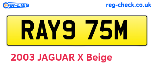 RAY975M are the vehicle registration plates.