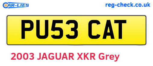 PU53CAT are the vehicle registration plates.