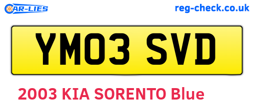 YM03SVD are the vehicle registration plates.