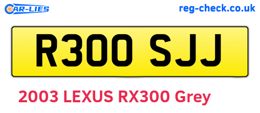 R300SJJ are the vehicle registration plates.
