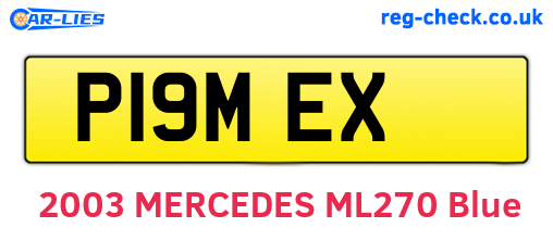 P19MEX are the vehicle registration plates.