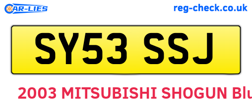 SY53SSJ are the vehicle registration plates.