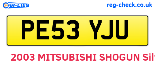 PE53YJU are the vehicle registration plates.