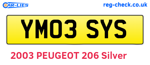 YM03SYS are the vehicle registration plates.