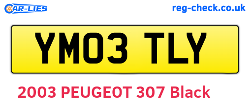 YM03TLY are the vehicle registration plates.