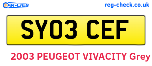 SY03CEF are the vehicle registration plates.