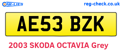 AE53BZK are the vehicle registration plates.