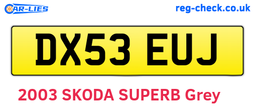 DX53EUJ are the vehicle registration plates.