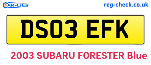 DS03EFK are the vehicle registration plates.