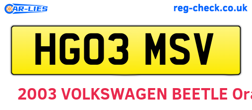 HG03MSV are the vehicle registration plates.