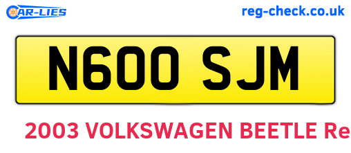 N600SJM are the vehicle registration plates.