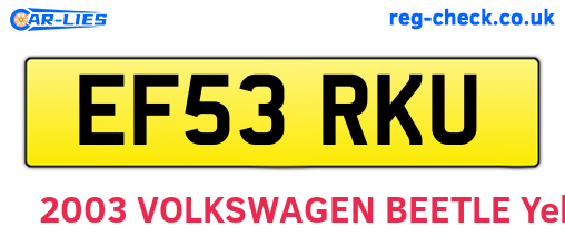EF53RKU are the vehicle registration plates.