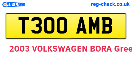 T300AMB are the vehicle registration plates.