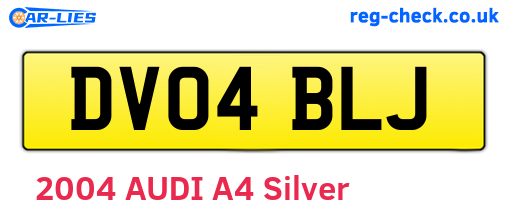 DV04BLJ are the vehicle registration plates.