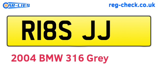 R18SJJ are the vehicle registration plates.
