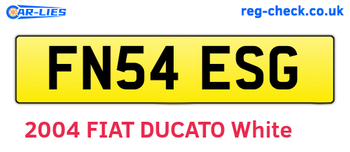 FN54ESG are the vehicle registration plates.