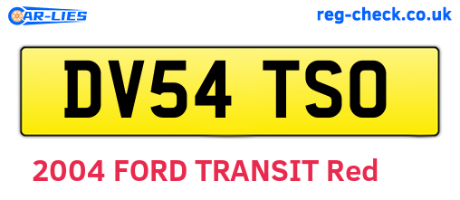 DV54TSO are the vehicle registration plates.