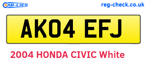 AK04EFJ are the vehicle registration plates.