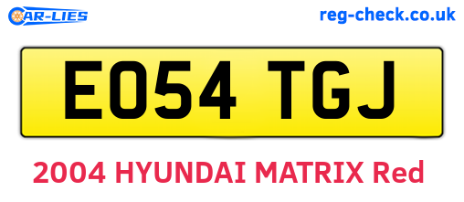 EO54TGJ are the vehicle registration plates.