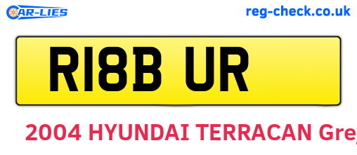 R18BUR are the vehicle registration plates.