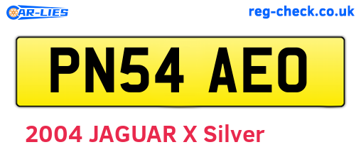 PN54AEO are the vehicle registration plates.