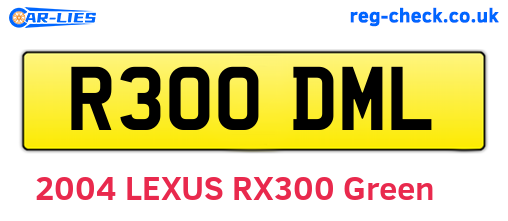 R300DML are the vehicle registration plates.