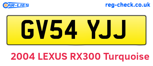 GV54YJJ are the vehicle registration plates.
