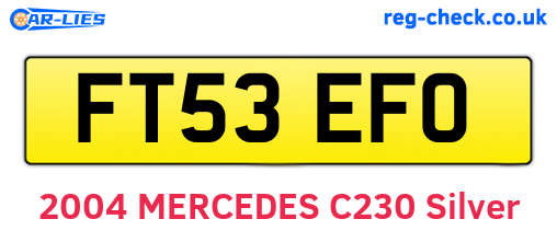 FT53EFO are the vehicle registration plates.