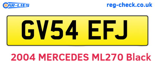 GV54EFJ are the vehicle registration plates.