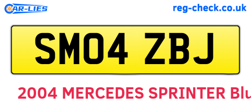 SM04ZBJ are the vehicle registration plates.