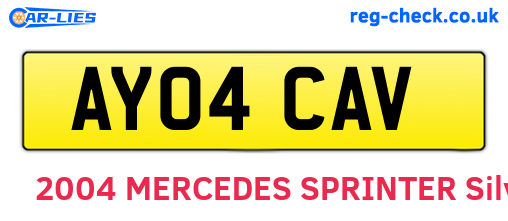 AY04CAV are the vehicle registration plates.