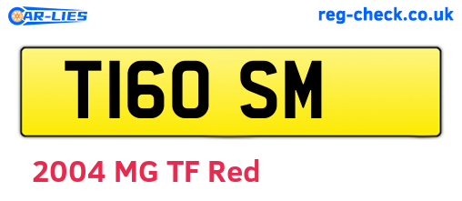 T16OSM are the vehicle registration plates.