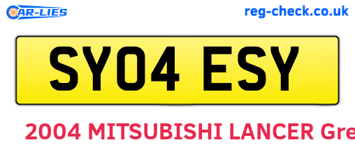 SY04ESY are the vehicle registration plates.