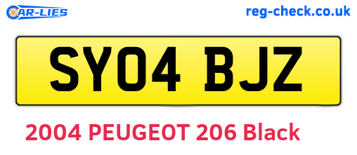SY04BJZ are the vehicle registration plates.