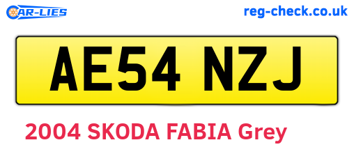 AE54NZJ are the vehicle registration plates.