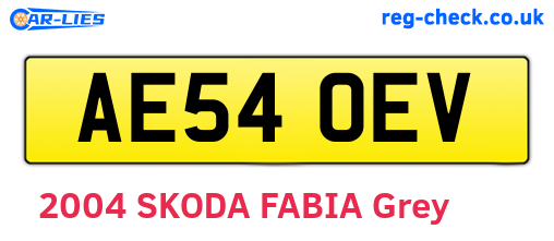 AE54OEV are the vehicle registration plates.