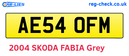 AE54OFM are the vehicle registration plates.