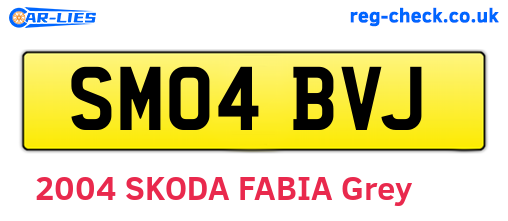 SM04BVJ are the vehicle registration plates.
