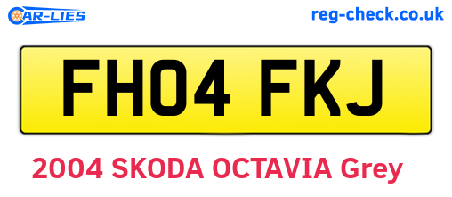FH04FKJ are the vehicle registration plates.