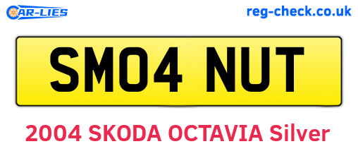 SM04NUT are the vehicle registration plates.