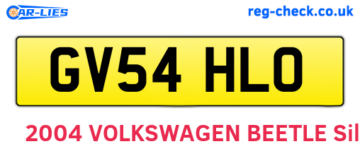 GV54HLO are the vehicle registration plates.