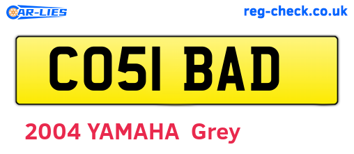 CO51BAD are the vehicle registration plates.