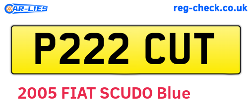 P222CUT are the vehicle registration plates.