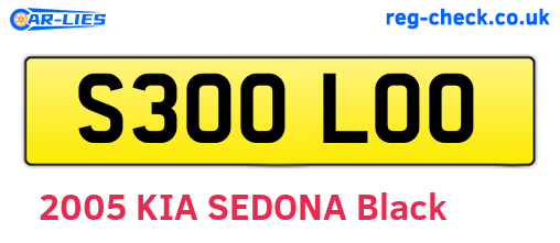 S300LOO are the vehicle registration plates.