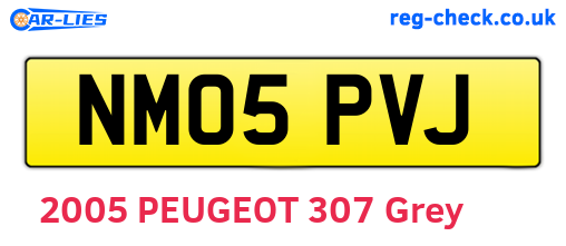 NM05PVJ are the vehicle registration plates.