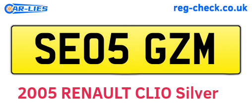 SE05GZM are the vehicle registration plates.