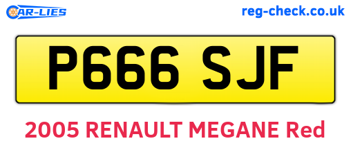 P666SJF are the vehicle registration plates.