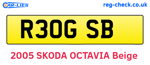 R30GSB are the vehicle registration plates.
