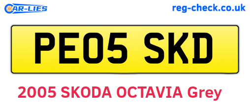 PE05SKD are the vehicle registration plates.